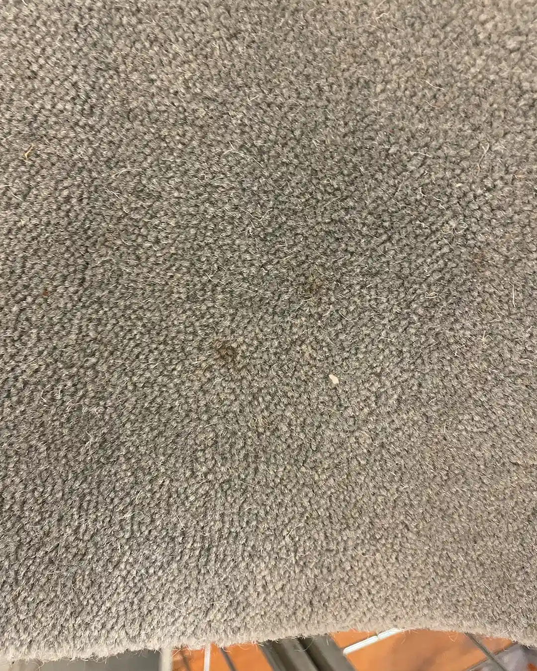 Preloved Harmony villamatto vaaleansininen 200x300 - Image 5